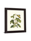 Butterfly Grove - 28" x 34" Framed Wall Art - Green