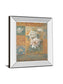 Pam's Poppies I By Vivian Flasch - Mirror Framed Print Wall Art - Light Brown