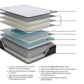 Anniversary Edition Pillowtop - Mattress