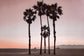 Santa Monica Pinks By Natalie Carpentieri (Framed Small) - Pink