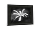 Magnolia Dreams I By Geyman Vitaly - Framed Print Wall Art - Dark Gray