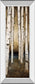Birch Landing III By St Germain - Mirror Framed Print Wall Art - Beige