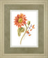 Floursack Autumn II On By Danhui Nai - White
