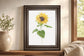 22x26 Sunflower I By Sally Swatland - Yellow
