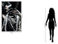 Floating Tempered Glass With Foil Pretty Woman - Dark Gray