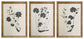 Huddwick - Wall Art Set (Set of 3) - Linen / Black