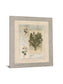 Vintage Botanical - 28" x 34" Framed Wall Art - Beige