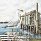 Majestic Seagull By James Harris (Framed) - Gray