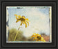 Blackeyed Susan Il By Meghan Mcsweeney - Framed Print Wall Art - Light Blue