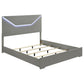 Ives - Panel Bed LED Headboard