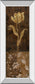 Golden Tulip Il By Tava Studios - Mirror Framed Print Wall Art - Dark Brown