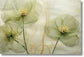 Temp Glass With Foil - Green Whispy Floral - Green