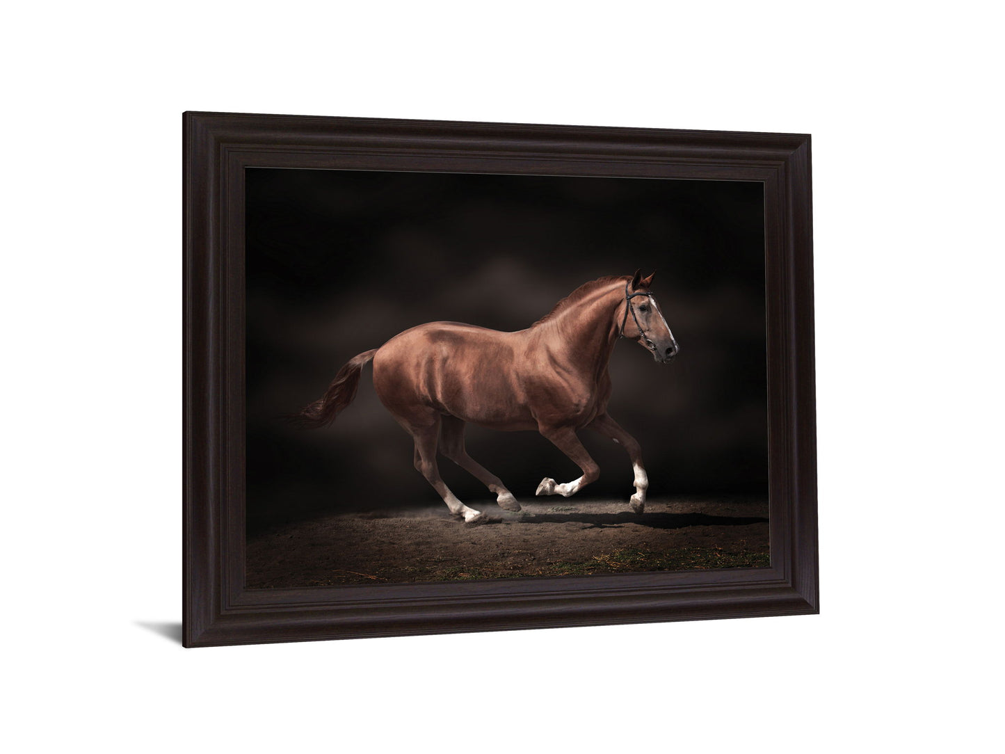 Chestnut Grace - 28" x 34" Framed Wall Art - Dark Brown
