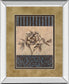 Rose Refined I By Carol Robinson - Mirror Framed Print Wall Art - Light Brown