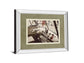 Cool Cats By Gail Peck - Mirror Framed Print Wall Art - Light Brown