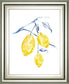 22x26 Watercolor Lemons I By Jennifer Goldberger - Yellow