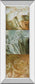 Square Choices By Thompson - Mirrored Frame - Light Brown