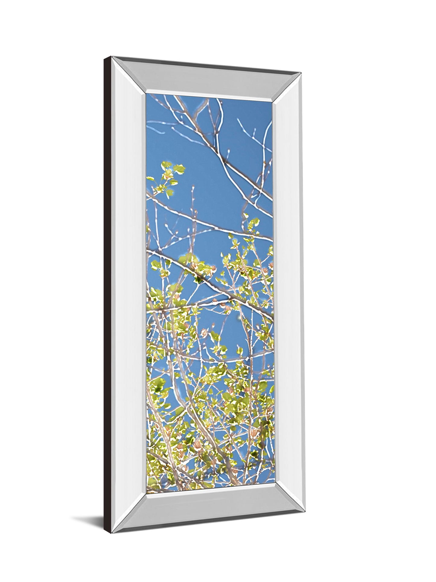 Spring Poplars IV By Sharon Chandler - Mirror Framed Print Wall Art - Light Blue