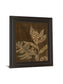 Tropical Night Il By Jane Carroll - Framed Print Wall Art - Dark Brown