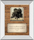 Opportunity By John Jones - Framed Print Wall Art - Light Brown