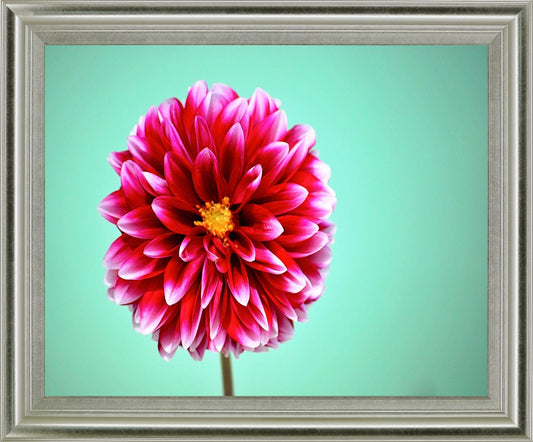 Crimson Radiance - 28" x 34" Framed Wall Art - Pink