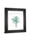 Farmhouse Cotton VI By Beth Grove - Framed Print Wall Art - White