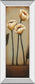 Jardin De Flores Il By H. Alves - Mirror Framed Print Wall Art - Beige