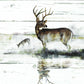 Framed Small - Rustic Misty Deer By Ruane Manning - Gray
