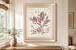 22x26 Antique Coral Seaweed I By Vision Studio - Pink