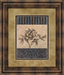 Rose Refined I By Carol Robinson - Framed Print Wall Art - Light Brown