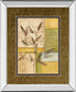 Urban Garden I By Norm Olson - Mirror Framed Print Wall Art - Light Brown