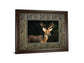White Tail Buck By Tony Campbell Double Matted - Framed Print Wall Art - Black