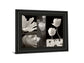 Summer Garden Il By Dennis Frates - Framed Print Wall Art - Dark Gray