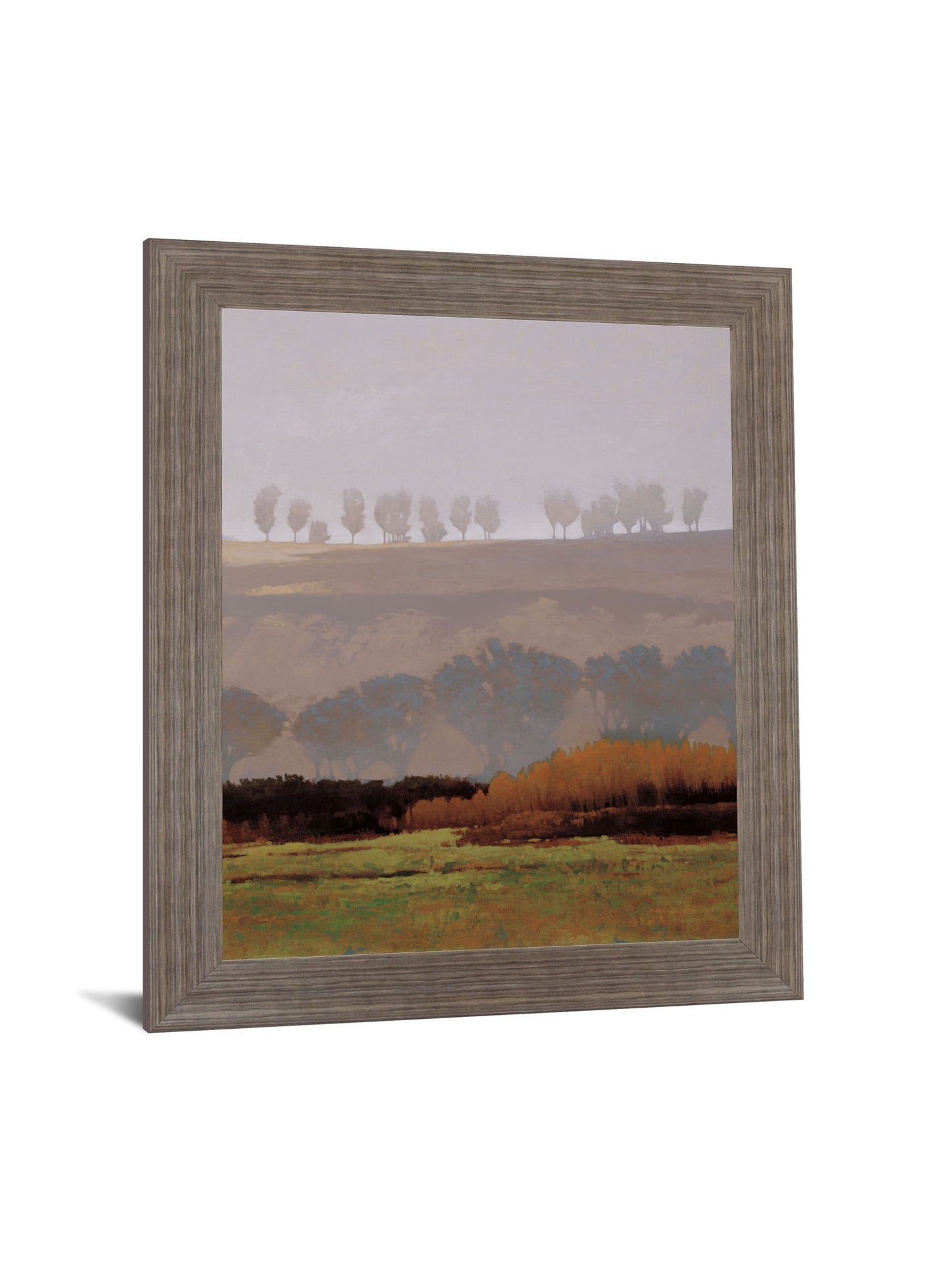 Golden Meadow Veil - 28" x 34" Framed Wall Art - Gray