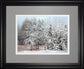 Frosty Morning By Mike Jone - Framed Print Wall Art - Gray