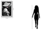 Silver Allure Portrait - 47" x 32" Framed Wall Art - Black