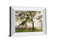 Morning Calm By Lee Frost - Mirror Framed Print Wall Art - Green