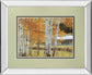 Birch Beauty By Mike Jones - Mirror Framed Print Wall Art - Light Brown
