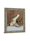 Mallard Glide - 28" x 34" Framed Wall Art - Green