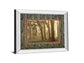 Woodland Sweep By Dennis Frate - Mirror Framed Print Wall Art - Light Brown