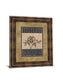 Rose Refined I By Carol Robinson - Framed Print Wall Art - Light Brown