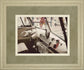 Cool Cats By Gail Peck - Framed Print Wall Art - Light Brown