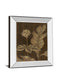 Tropical Night I By Jane Carroll - Mirror Framed Print Wall Art - Dark Brown