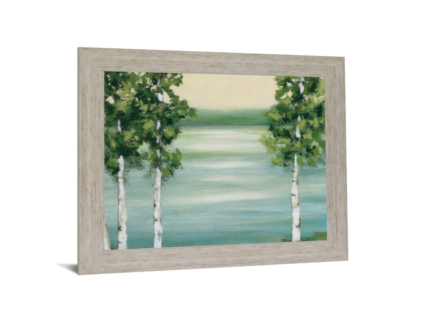 Birches Over Serene Water - 28" x 34" Framed Wall Art - Green