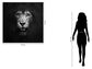 Tempered Glass With Foil - Lion B & W - Black