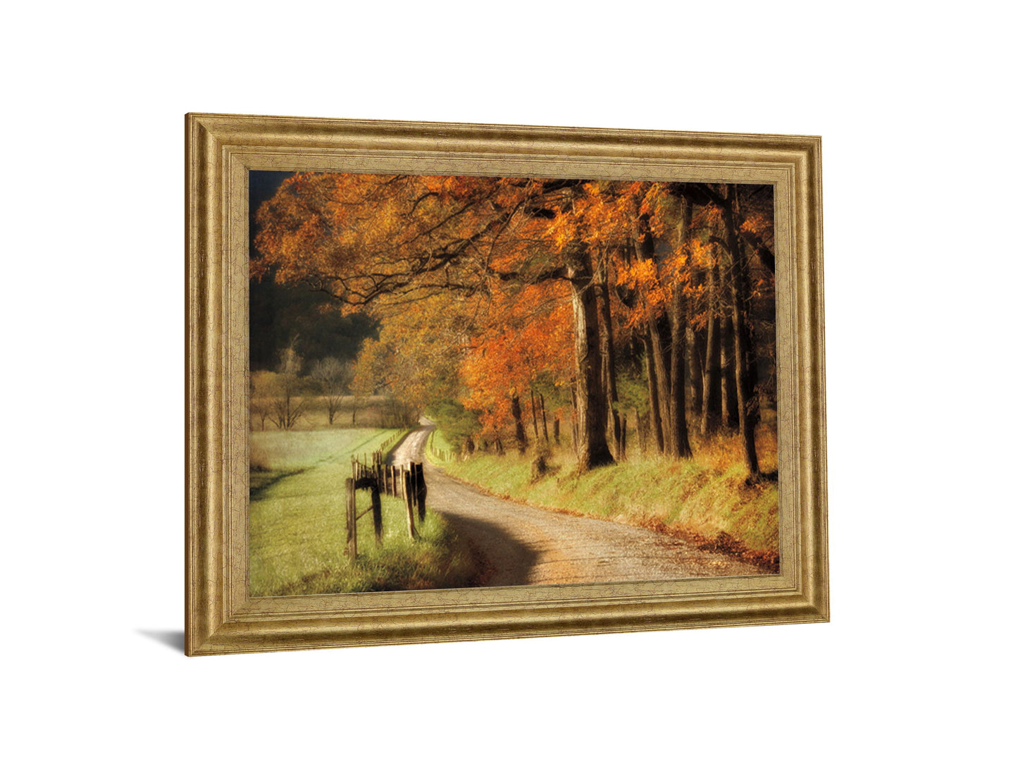 Amber Forest Pathway - 28" x 34" Framed Wall Art - Orange