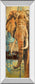 New Safari On Teal Il By Patricia Pinto - Mirror Framed Print Wall Art - Light Brown