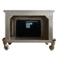 Versailles - Fireplace