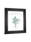 Farmhouse Cotton V By Beth Grove - Framed Print Wall Art - White