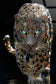 Starlit Sovereign II Tempered Glass With Foil & Rhinestones - Black / Gold
